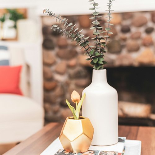 Home Décor & Living