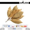 Organic Premium Ceylon Bay Leaves, Grade No. 1 whole sun-dried green leaves from Sri Lanka featuring high essential oils for medicinal and culinary use Organic Premium Ceylon Bay Leaves, Grade No. 1 whole sun-dried green leaves from Sri Lanka featuring high essential oils for medicinal and culinary use