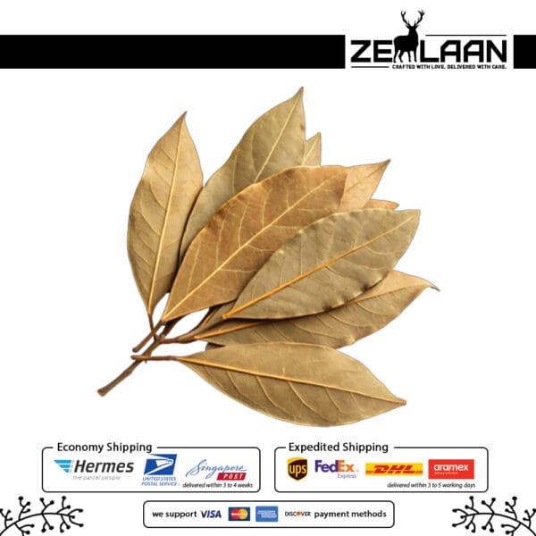 Organic Premium Ceylon Bay Leaves, Grade No. 1 whole sun-dried green leaves from Sri Lanka featuring high essential oils for medicinal and culinary use