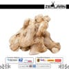 Organic Premium Ceylon Dry Ginger, Grade No. 1 whole sun-dried ginger rhizomes from Sri Lanka featuring high gingerol for medicinal and culinary use Organic Premium Ceylon Dry Ginger, Grade No. 1 whole sun-dried ginger rhizomes from Sri Lanka featuring high gingerol for medicinal and culinary use