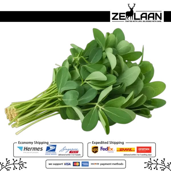 Organic Premium Ceylon Kasuri Methi, Grade No. 1 dried fenugreek leaves from Sri Lanka featuring high volatile oils for medicinal and gourmet culinary use 3