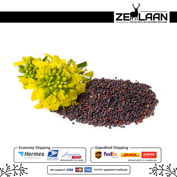 Organic Premium Ceylon Mustard Seeds, Grade No. 1 whole black and brown seeds from Sri Lanka featuring high essential oils for medicinal and culinary use Organic Premium Ceylon Mustard Seeds, Grade No. 1 whole black and brown seeds from Sri Lanka featuring high essential oils for medicinal and culinary use