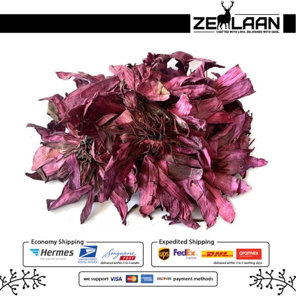 Dried Pink Lotus Flower