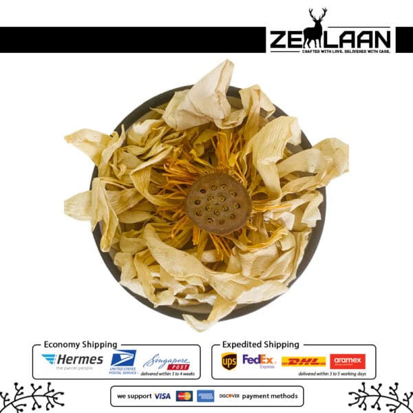 Dried White Lotus Flower