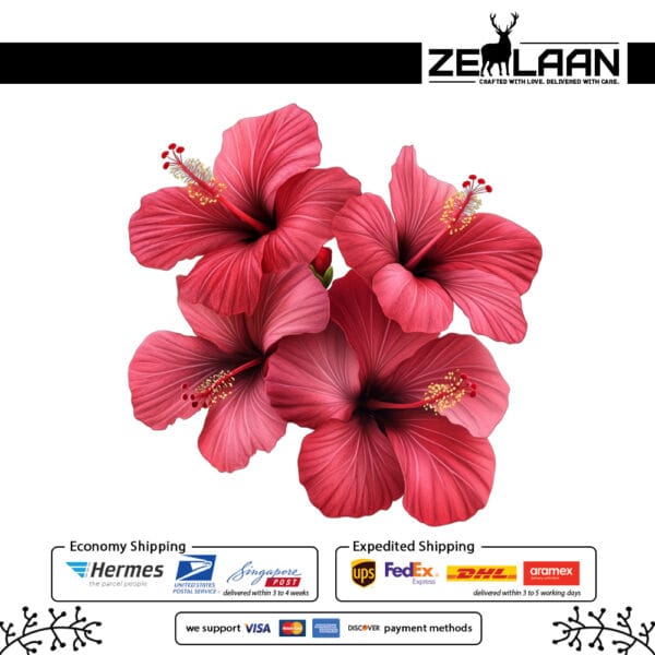 Hibiscus Flower