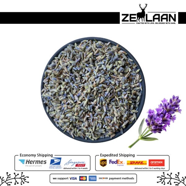 Lavender Flower Buds