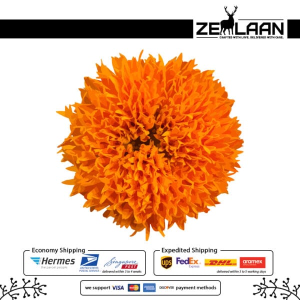 Marigold Flower