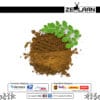 Moringa Leaf Extract 3