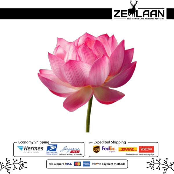 Premium Dried Pink Lotus Flower (Nelumbo nucifera) - Pure, Healthy & Whole Sacred Blooms