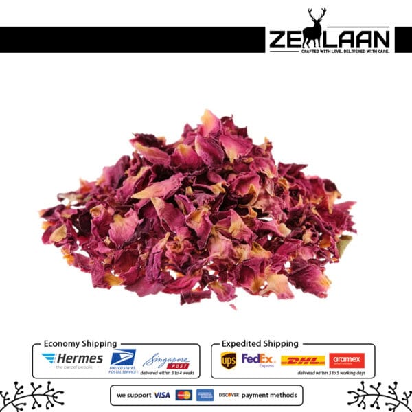 Rose Flower Petals 1