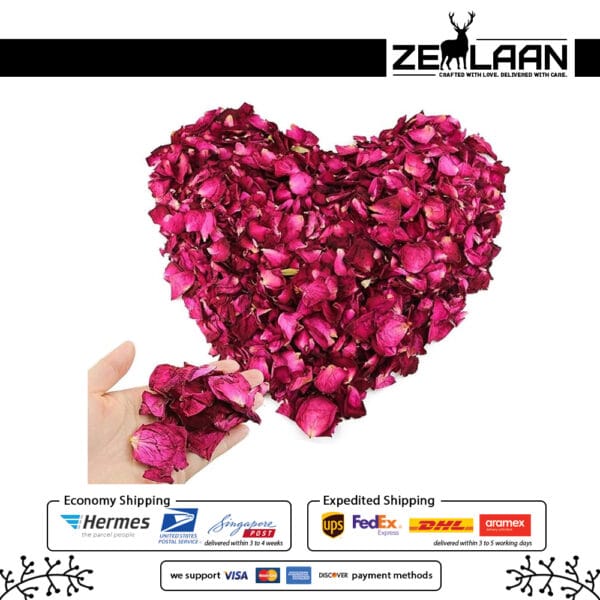 Rose Flower Petals 2