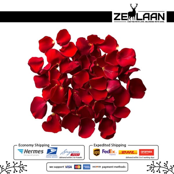 Rose Flower Petals