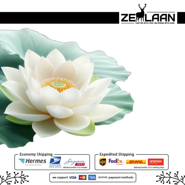 White Lotus Flower