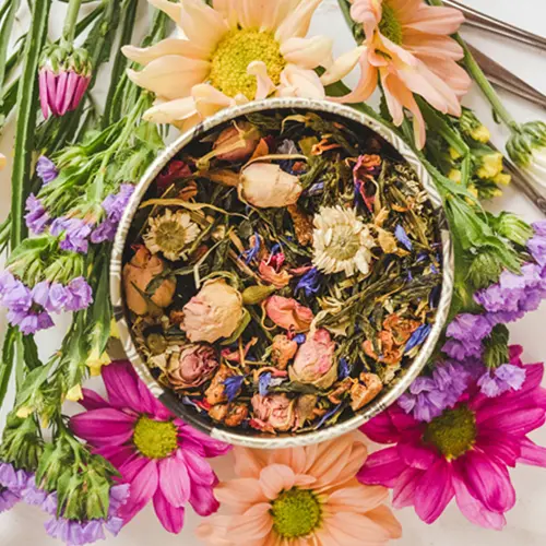 Ayurvedic & Herbal Ayurvedic & Herbal