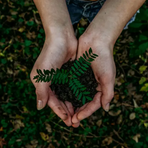 Eco-friendly Eco-friendly